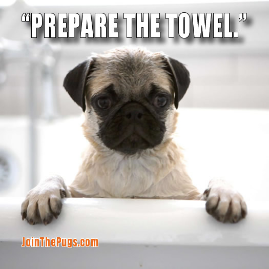 PREPARE THE TOWEL