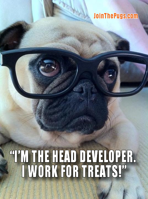 Head Pug Developer