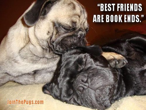 Best Friends are Book Ends