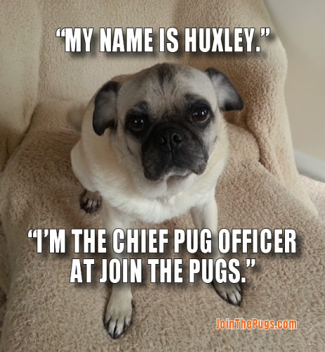 Huxley the CPO