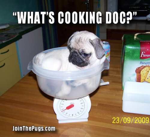 What's Cooking Doc?
