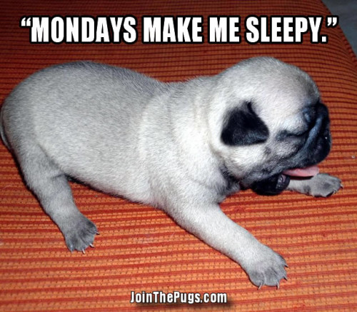 Mondays Make Me Sleepy