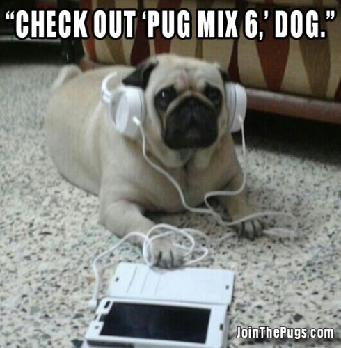 Pug Mix DJ