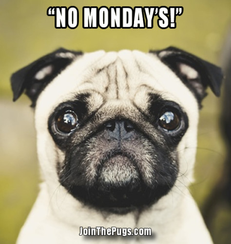 No Monday