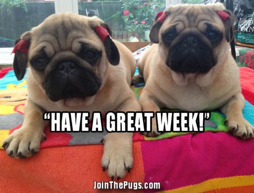 Have A Happy New Week