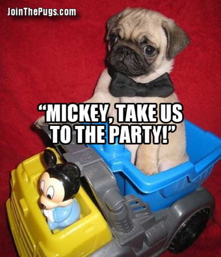 Mickey Pug Club