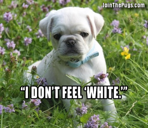 I don't feel white