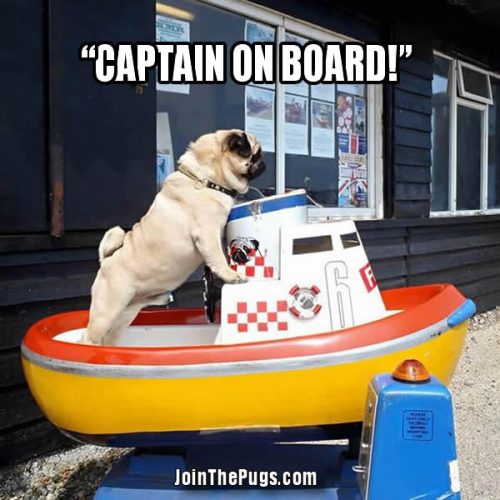 The Pug Boat