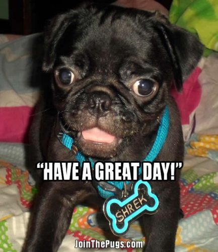 Pug Special Message