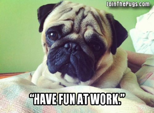 Have Fun At Work Pug