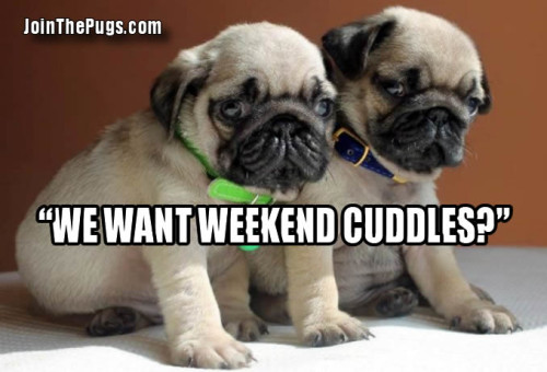 do we get weekend cuddles