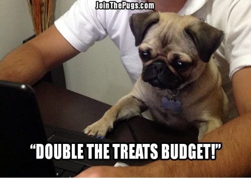 Pug Budgeting
