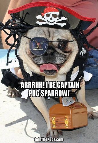 captain pug sparrow