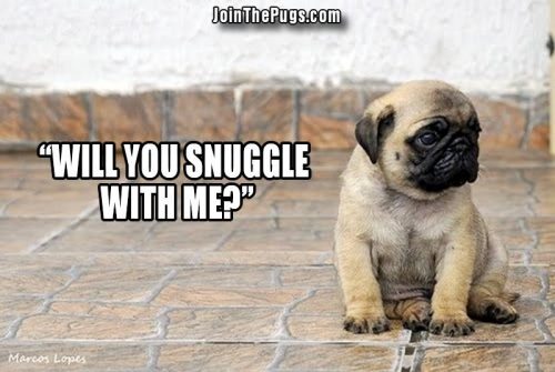 snuggle puggle