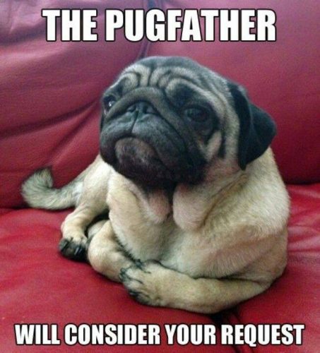 the pugfather