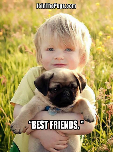 BEST FRIENDS PUG AND BOY - Join the Pugs 