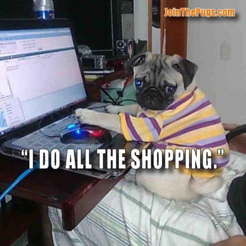 Pug Online Shopper  - Join the Pugs 