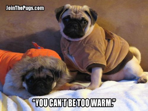 Join the Pugs 