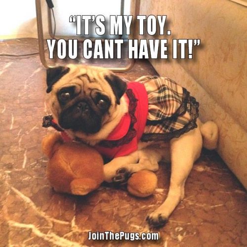 It's my toy - Join the Pugs 