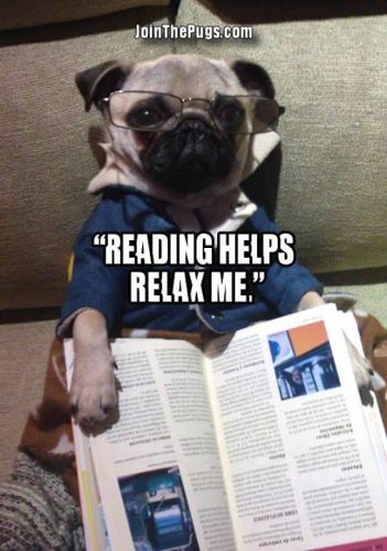 Reading helps relax me - Join the Pugs 