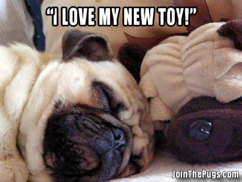 I love my new toy - Join the Pugs 
