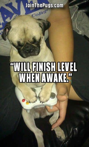 Will finish level when awake - Join the Pugs 