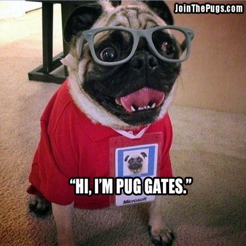Smart Pug - Join the Pugs 