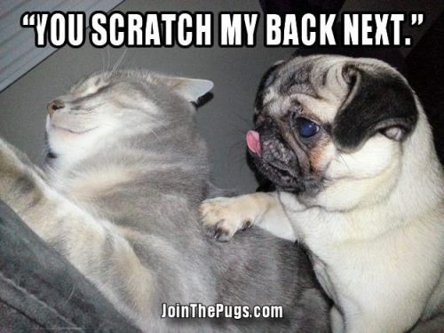 You scratch my back next - Join the Pugs 