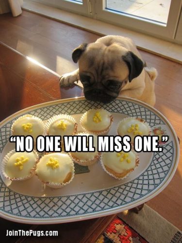 The Great Cupcake Caper - Join the Pugs 