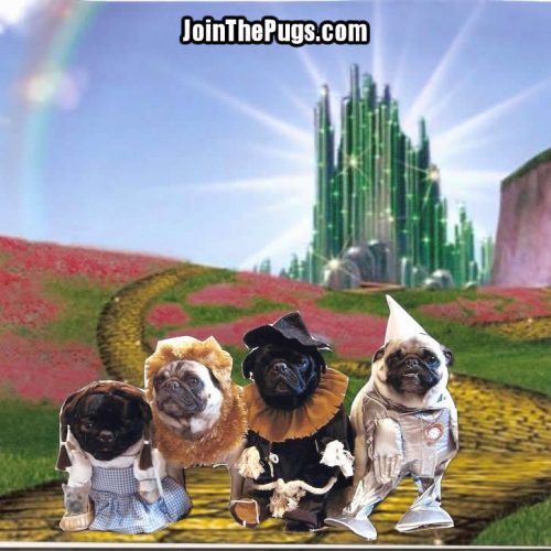 The Wizard of Oz - Join the Pugs