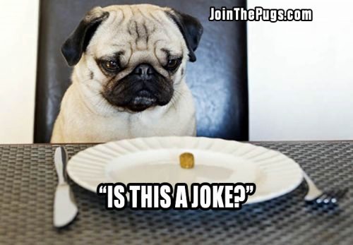 You call this food - Join the Pugs 