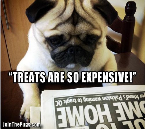 Treats are so expensive - Join the Pugs 