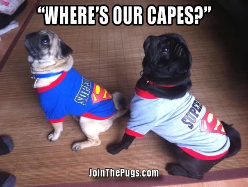 Super Pugs - Join the Pugs 