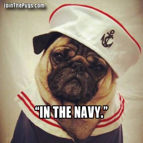 Join The Pugs - (in the navy)