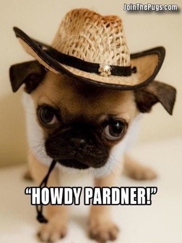 Join the Pugs - (Howdy Pardner)