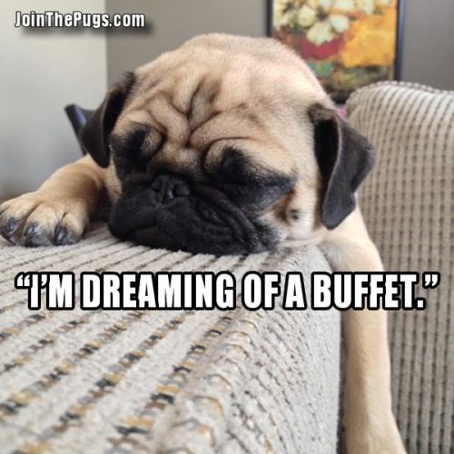 I'm dreaming of a buffet - Join the Pugs