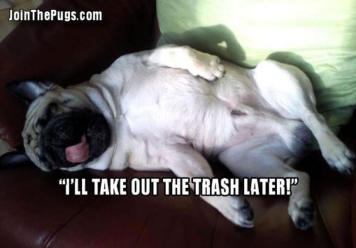 i'll take out the trash later - Join the Pugs 