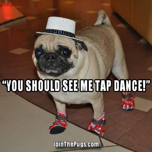 You should see me tap dance - Join the Pugs