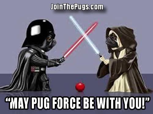 Star Pugs - The Force is Strong with This Pug