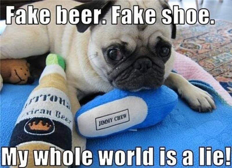 fake beer fake shoe