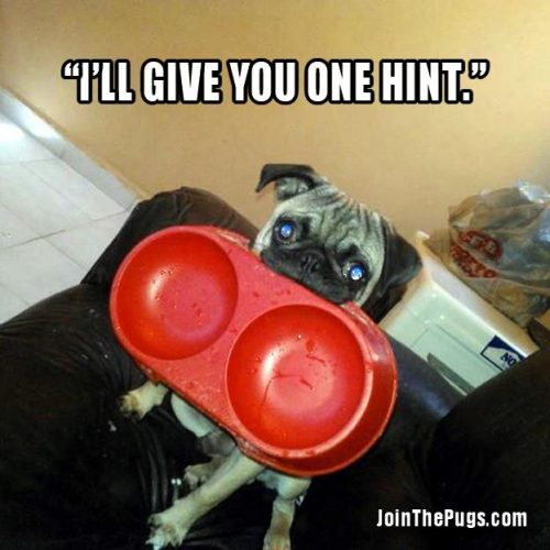 I'll give you one hint  - Join the Pugs 