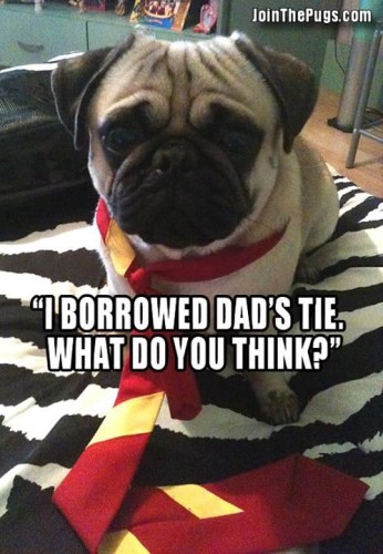 Just Like Dad - Join the Pugs 