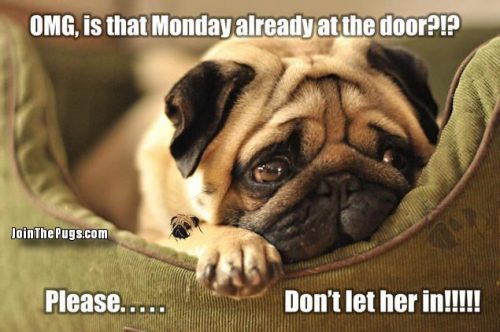 Don't Let Monday In! - Join the Pugs 