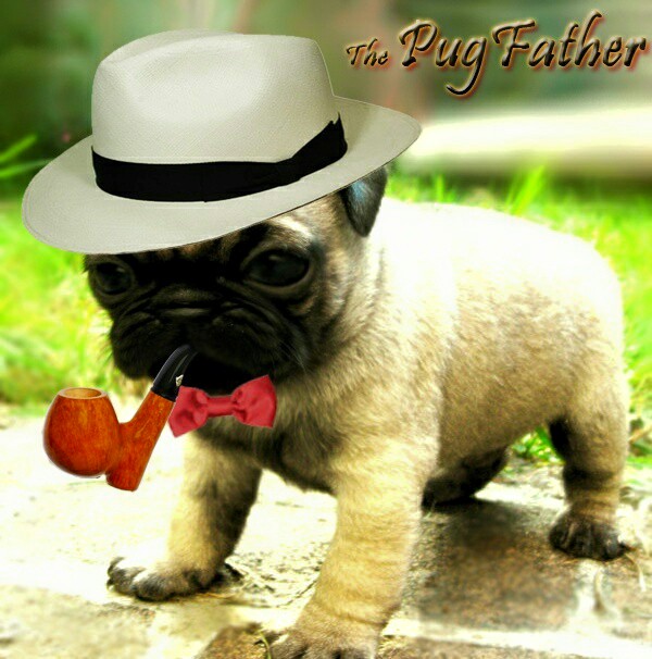 The Pug Father asks a question