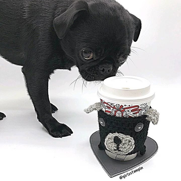 How pawsome is this Pug knit coffee warmer