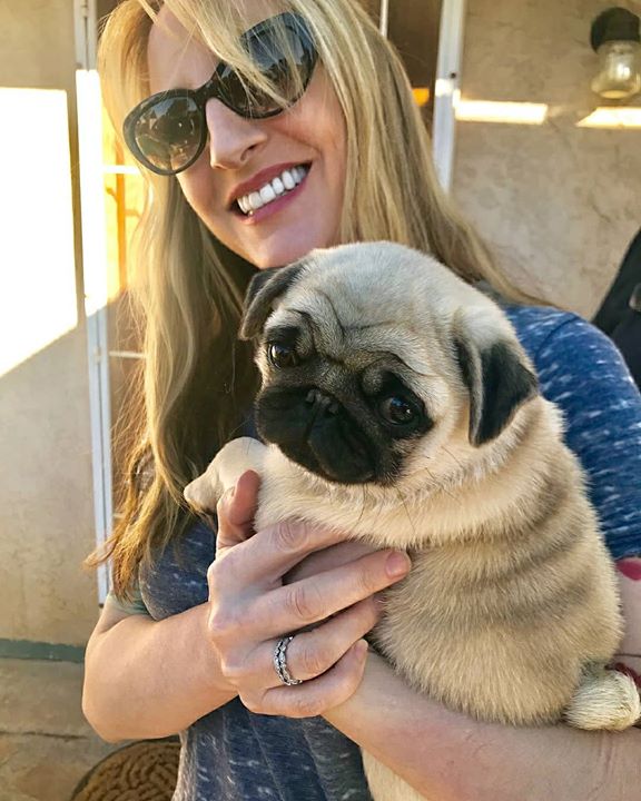 Pug Loves Their Hooman