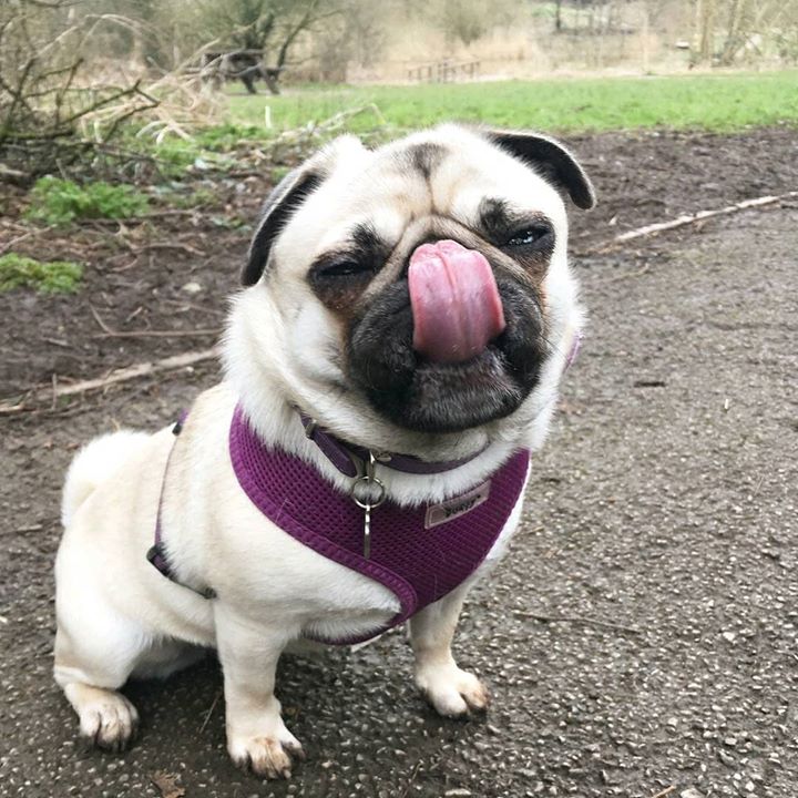 Can you taste Tongue Out Tuesday