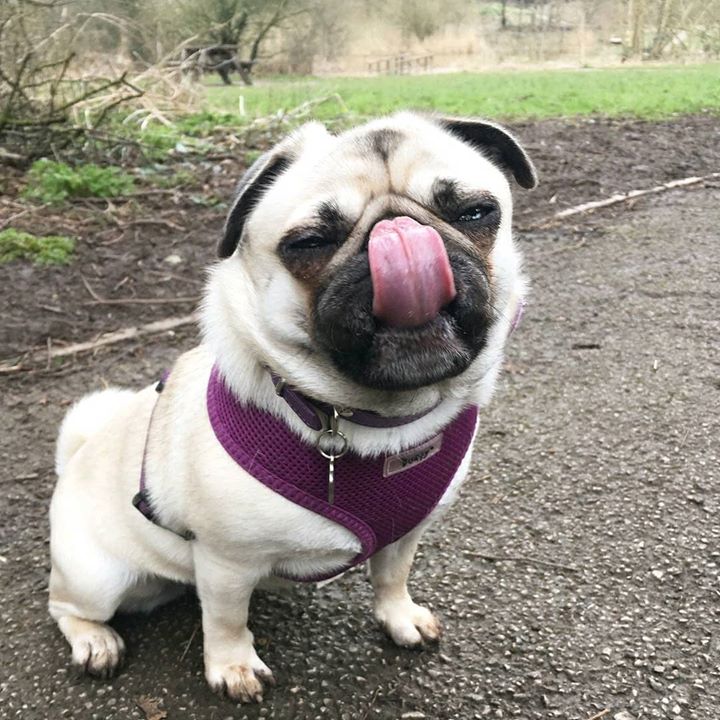 Can you taste Tongue Out Tuesday? 1 Can you taste Tongue Out Tuesday