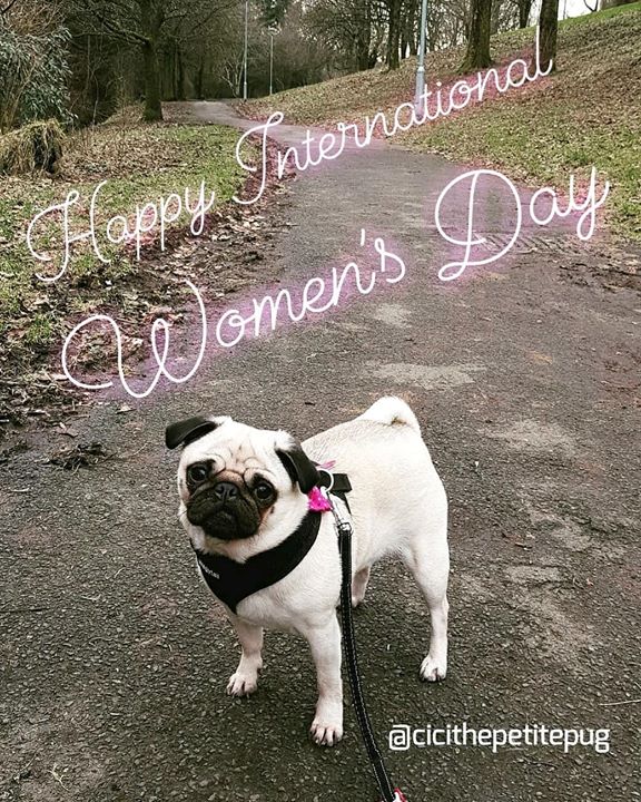 Happy International Women's Day