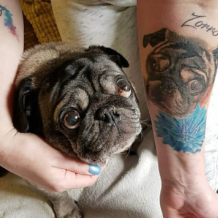 Pug Tattoo Is Amazing
